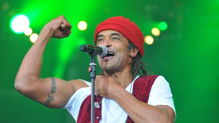 Yannick Noah, lors d'un concert &agrave; la Courneuve, le 18 septembre 2011. (CITIZENSIDE.COM / AFP)