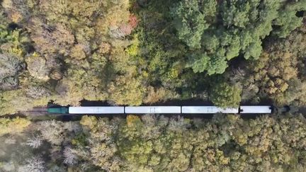 Charente-Maritime : un voyage à bord du Train des Mouettes, plaisir des yeux et des papilles