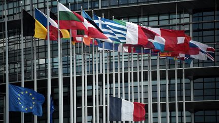 Drapeaux devant le Parlement européens à Strasbourg, le 15 juillet 2016. Image d'illustration.&nbsp; (FREDERICK FLORIN / AFP)