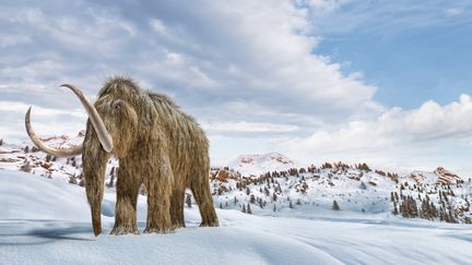 Illustration&nbsp;réaliste en 3D d'un mammouth laineux dans un environnement hivernal.&nbsp; (LEONELLO CALVETTI / SCIENCE PHOTO LIBRARY RF / GETTY IMAGES)