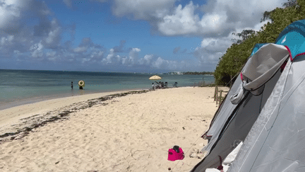 En Guadeloupe, le week-end de Pâques rime avec camping en famille ou entre amis. Une tradition perpétuée chaque année. Les campeurs des fêtes pascales ont déjà investi les sites les plus prisés de l’archipel. (France 3)