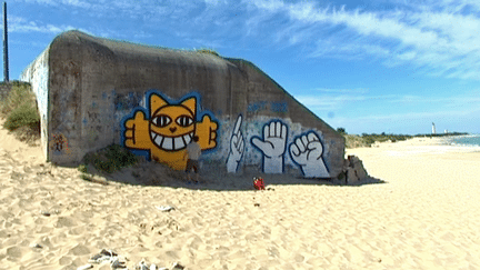 M.Chat prend le soleil sur la plage de l'ïle de Ré
 (France 3 / Culturebox)