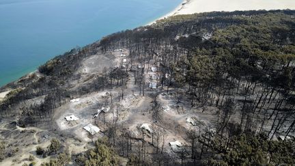 Les dégâts causés par les incendies dans la forêt de La-Test-de-Buch (Gironde), le 20 juillet 2022. (HANDOUT / SDIS 33)