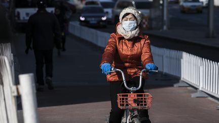 Les données sur les masques antipollution&nbsp;"ne démontrent pas un bénéfice pour la santé",&nbsp;selon l'enquête de l'Anses. (Illustration) (VINCENT ISORE / MAXPPP)