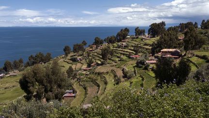 Bolivie : des enfants au travail, une réalité quotidienne