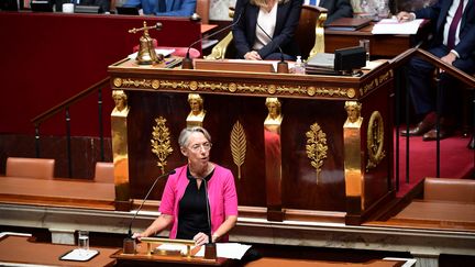 La Première ministre Elisabeth Borne lors de son discours de politique générale, le 6 juillet 2022, à l'Assemblée nationale.&nbsp; (BERTRAND GUAY / AFP)