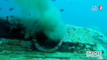 Envoyé spécial l'été. A Cassis, baignade en eaux souillées