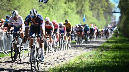 Les coureurs de la 120e édition de Paris-Roubaix retrouveront les pavés, dimanche 9 avril 2023. (JASPER JACOBS / AFP)