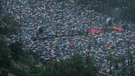 hong kong manif