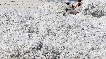 Des travailleurs tassent avec leurs pieds le coton fra&icirc;chement d&eacute;charg&eacute; d'un camion &agrave; Gujarat (Inde), le 9 f&eacute;vrier 2015. (AMIT DAVE / REUTERS)