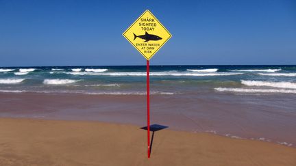 Un panneau avertissant du danger lié à un requin sur une place à Sydney, en Australie, le 24 novembre 2015. (DAVID GRAY / REUTERS)