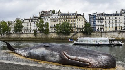 JUILLET.&nbsp;Une sculpture de baleine échouée sur les rives de la Seine, le 22 juillet 2017 à Paris. (BERTRAND GUAY / AFP)