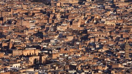 Vue générale de la médina de Fès, le 22 février 2009.&nbsp; (MANUEL COHEN / MANUEL COHEN)