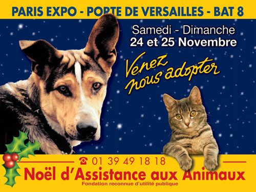 Campagne d'affichage de la Fondation Assistance aux animaux lanc&eacute;e pour No&euml;l 2012. (FRANCETV INFO)