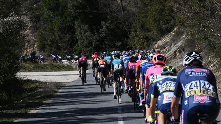 Le peloton en file indienne  (ANNE-CHRISTINE POUJOULAT / AFP)