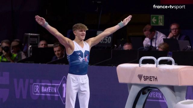 Nonostante un'ottima corsa sul cavallo con maniglie (14.566 punti), il 20enne francese Benjamin Osberger ha fallito ai piedi del podio, per meno di un decimo.  L'armeno Harutyun Merdinian è stato incoronato campione d'Europa nella competizione, davanti all'olandese Laurent de Monck e al tedesco Nils Dunkel.