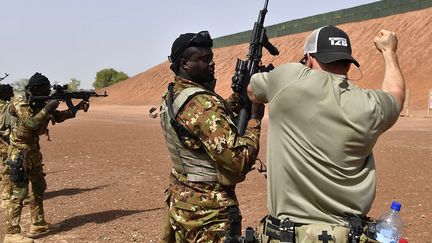 «L’on peut penser que l’exercice est non seulement une foire pour marchands d’armes qui en usent comme une tribune de promotion de leurs marchandises,  mais aussi une occasion d’accaparement des terres africaines pour des tests qui auraient pu difficilement être menés en Occident, en raison de la réglementation et des risques pour des populations bien averties de leurs droits. Quoi qu’il en soit, l’on peut considérer que ces opérations constituent un mal nécessaire.» (Issouf Sanogo / AFP)