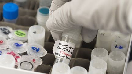 Un flacon contenant un potentiel vaccin contre le coronavirus, dans le laboratoire américain Novavax, à Rockville (Maryland), e 20 mars 2020. (ANDREW CABALLERO-REYNOLDS / AFP)