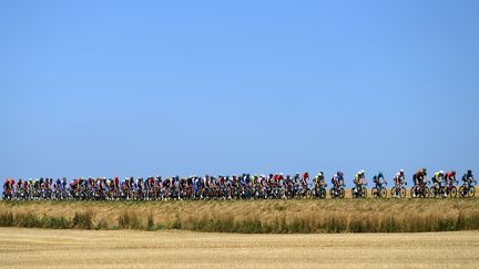 Le peloton du Tour de France lors de l'étape entre Tomblaine et la Super Planche des belles filles, le 8 juillet 2022. (ALEX BROADWAY / GETTY IMAGES / AFP)