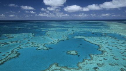 Une vue aérienne de la Grande Barrière de corail, au large de l'Australie, le 7 janvier 2015. (THIERRY GRUN / ONLY WORLD / AFP)