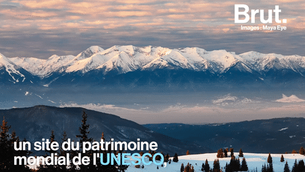 brut : parc pirin