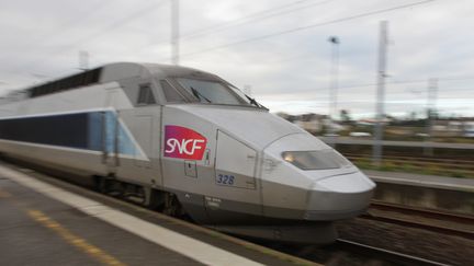 Un TGV passe en gare de Vannes (Morbihan), le 15 f&eacute;vrier 2012. (FRANCOIS DESTOC / MAXPPP)