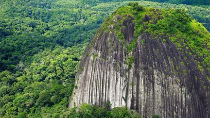  (Le massif du Mitaraka, dans le sud-ouest de la Guyane, © MNHN-PNI / expédition Guyane /O.Pascal)