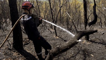 Un pompier éteint des braises, le 19 juillet 2016, après un feu de forêt à Correns (Var). (FRANCK PENNANT / AFP)