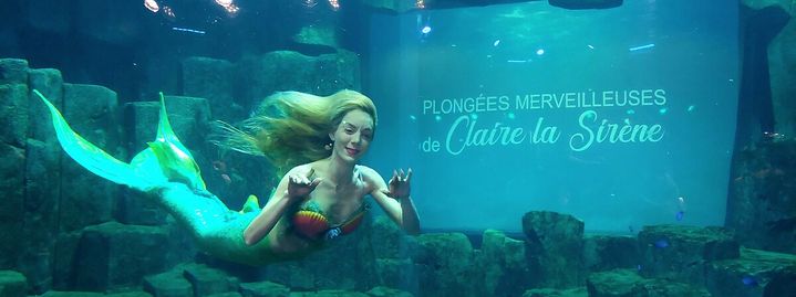 Claire, sirène à l'aquarium de Paris, lors de l'un de ses shows, le 24 juin 2023. (BENJAMIN ILLY / FRANCEINFO / RADIOFRANCE)