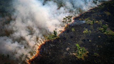 Vue aérienne d'une zone brûlée dans la forêt amazonienne, près de la réserve extractive de Lago do Cunia, à la frontière des États de Rondonia et d'Amazonas, dans le nord du Brésil, le 31 août 2022. (DOUGLAS MAGNO / AFP)