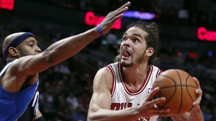 Joakim Noah, pivot des Chicago Bulls, face aux Dallas Mavericks, &agrave; Chicago (Etats-Unis), le 28 novembre 2012. (JEFF HAYNES / REUTERS)