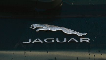 Le logo de la marque automobile de luxe Jaguar, à Dublin (Irlande), le 22 janvier 2021.&nbsp; (ARTUR WIDAK / NURPHOTO / AFP)