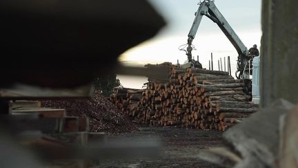 Chauffage : de plus en plus de Français se tournent vers le bois pour faire baisser la facture