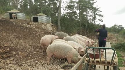 Lozère :&nbsp;à la découverte d'artisans fiers de leur département (France 2)