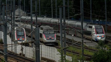 Des TGV en gare de Lille (Nord), le 3 juin 2016. (PHILIPPE HUGUEN / AFP)