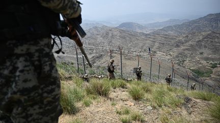 Vrai ou Fake. Le Pakistan soutient-il officiellement les talibans en Afghanistan ?