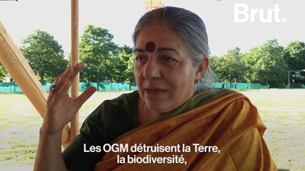 La&nbsp;militante écologiste indienne Vandana Shiva (Brut)