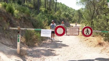 Incendies : le massif de l'Estérel, dans le Var, placé sous haute surveillance