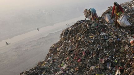 Des chiffonni&egrave;res fouillent&nbsp;une d&eacute;charge &agrave; New Delhi (Inde), le 19 novembre 2014. (AHMAD MASOOD / REUTERS)