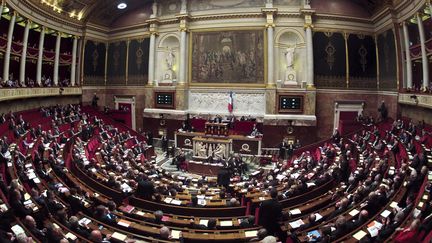 L'Assembl&eacute;e nationale, &agrave; Paris, le 29 novembre 2011. (CHARLES PLATIAU / REUTERS)