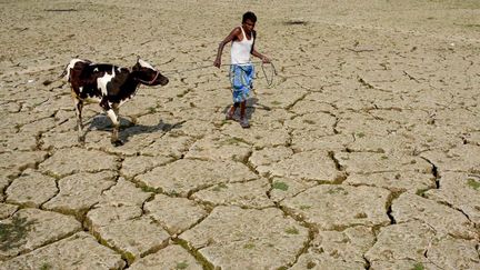 Un fermier indien dans une zone aride, près d'Agartala, dans l'État de Tripura. (ARINDAM DEY / AFP)