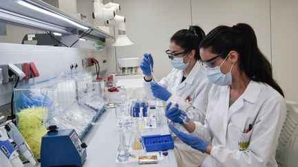 Des scientifiques travaillent dans un laboratoire de la société pharmaceutique Uni-pharma, dans la banlieue nord d'Athènes (Grèce), le 5 juin 2020, où sont produites des pilules de chloroquine. (LOUISA GOULIAMAKI / AFP)