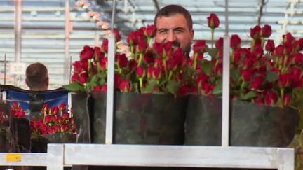 En France, 22 millions de bouquets de fleurs sont vendus, en moyenne, en 24 heures, le jour de la Saint-Valentin.&nbsp; (FRANCE 2)