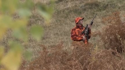 Entre 2017 et 2021, les subventions accordées aux chasseurs ont fortement augmenté. La polémique monte concernant ce montant.&nbsp; (CAPTURE ECRAN FRANCE 2)