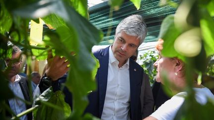 Laurent Wauquiez visite une ferme le 20 juin 2018 à Azay-sur-Cher, dans le centre de la France. (GUILLAUME SOUVANT / AFP)