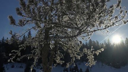 Franche-Comté : des températures extrêmement basses à la Combe Noire