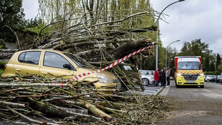 Des dégâts commis par la tempête Diego à Nantes (Loire-Atlantique), le 8 avril 2022.&nbsp; (MAXPPP)