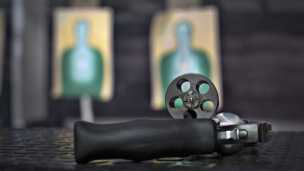 Un pistolet magnum, dans un stand de tir au Canada, le 22 mars 2013. (ANDY CLARK / REUTERS)