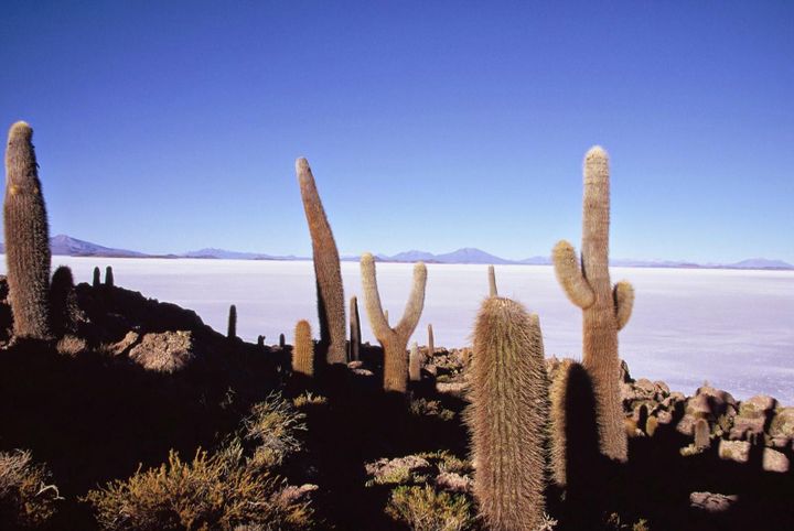 &nbsp; (Salar d'Uyuni © Jean-Noël DARDE)