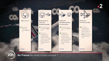 L'Oeil du 20H : L'option "Environnement" d'Air France accusée de greenwashing